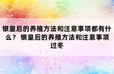 银皇后的养殖方法和注意事项都有什么？ 银皇后的养殖方法和注意事项过冬